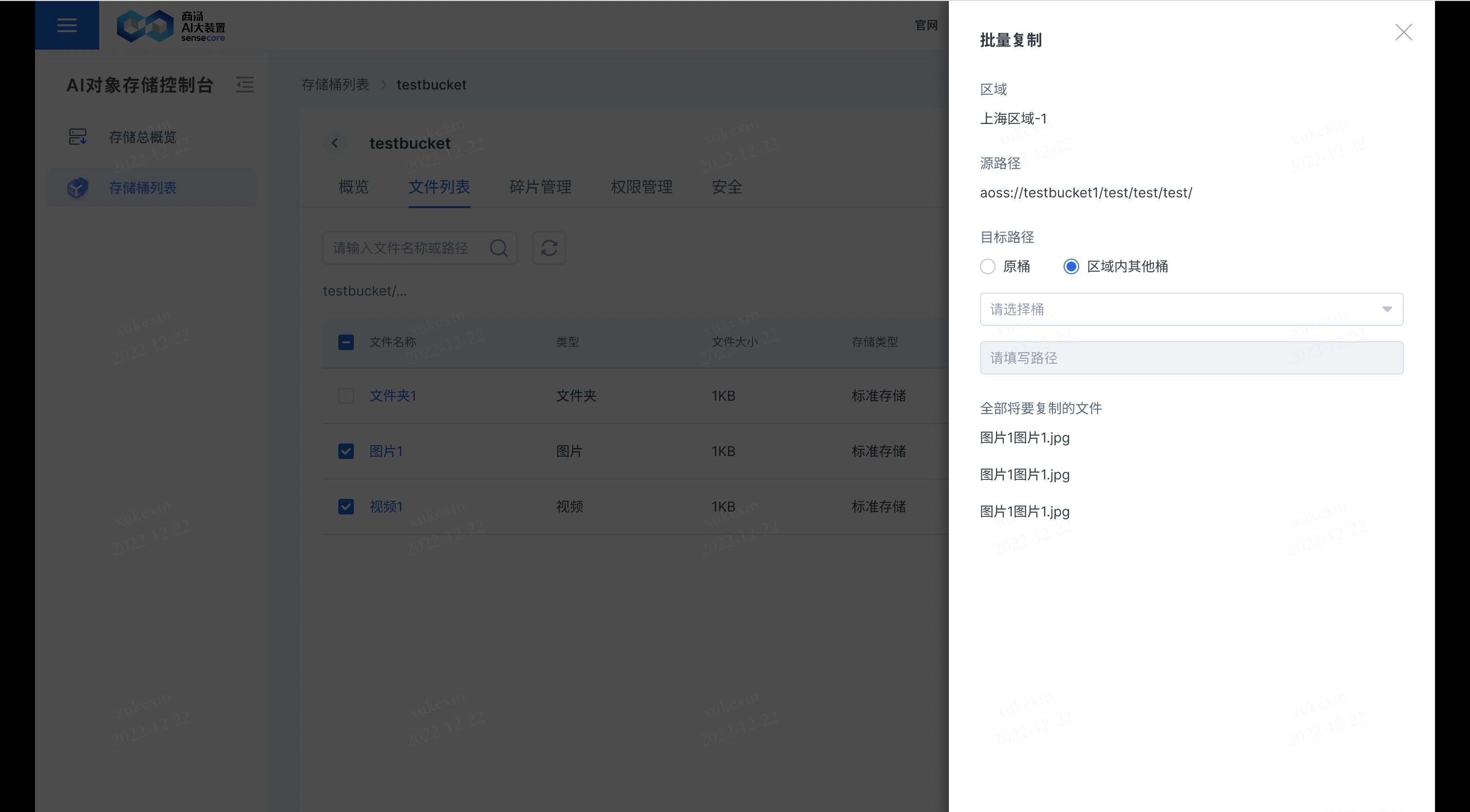 Bulk Copy-2